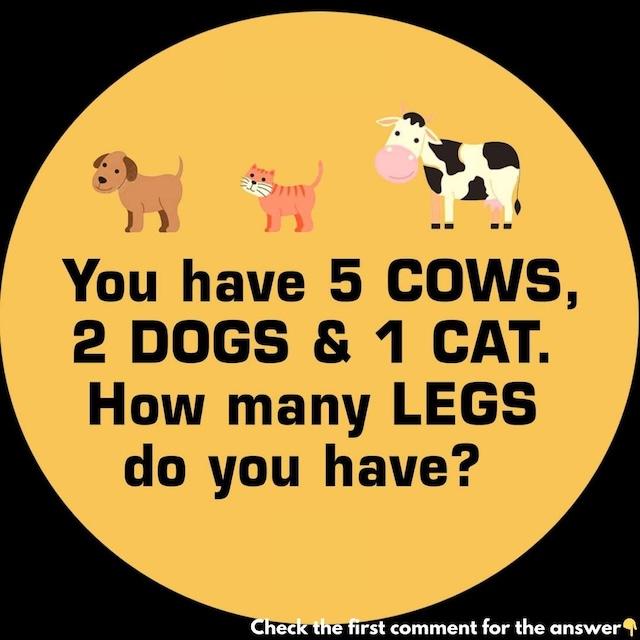 You have 5 cows, 2 dogs, and 1 cat. How many legs do you have? A tricky riddle to test your attention to detail