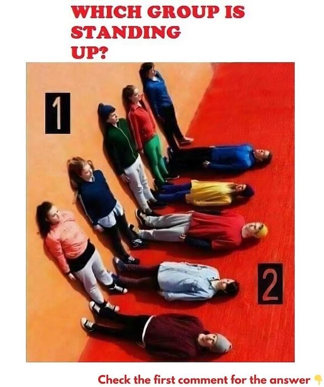 The Puzzle: Which group is really standing up? Look carefully; the answer might surprise you!
